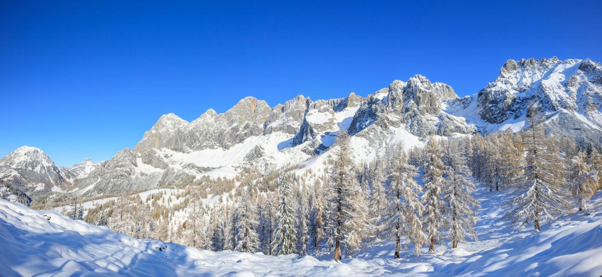 Landhaus Wieser Ramsau am Dachstein Extérieur photo
